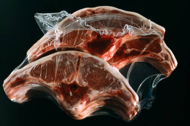 A Comprehensive Guide to Sourcing High-Quality Meat: Top 7 Meat Suppliers in France in Year 2025