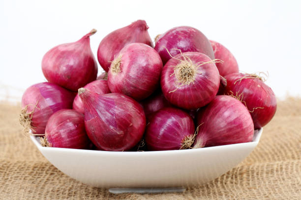 Top 4 Onion Suppliers in United States in Quarter 3 of 2025: Urgent Market Update