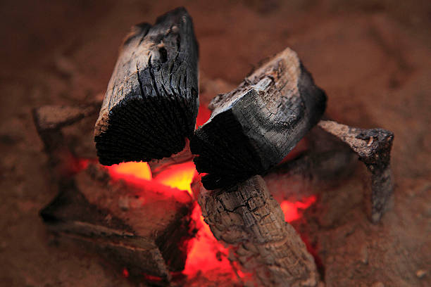 Top 9 Wood Charcoal Suppliers in France in August 2025