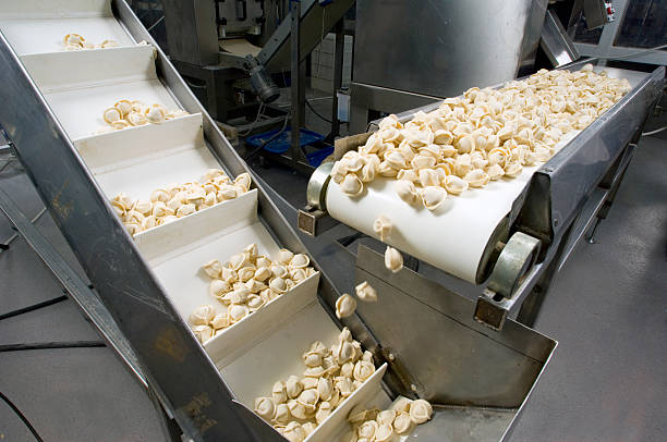 A Comprehensive Guide to Sourcing High-Quality Food Processing Machinery: Top 7 Food Processing Machinery Suppliers in India in Quarter 3 of 2025