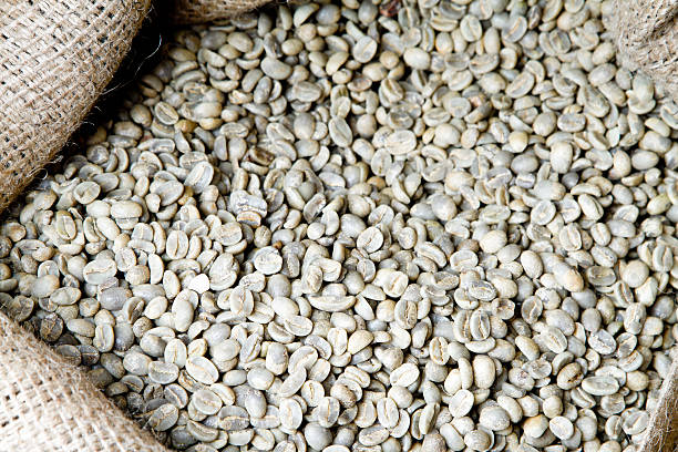 Top 4 Green Coffee Suppliers in South Korea in Year 2025: A Timely Market Analysis