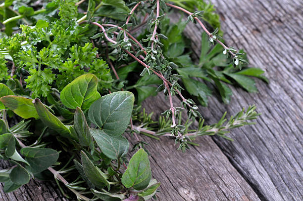 Top 6 Herbs Suppliers in Egypt in Quarter 3 of 2025: Timely Insights into a Booming Market