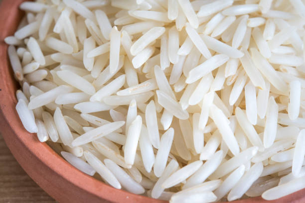 A Comprehensive Guide to Sourcing High-Quality Basmati Rice: Top 3 Basmati Rice Suppliers in Kenya in September 2025