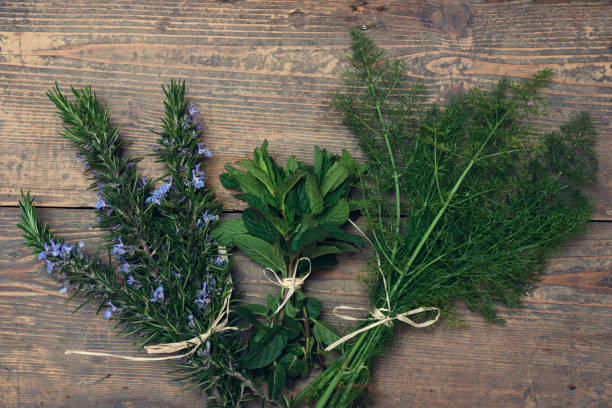 Top 5 Herbs Suppliers in India in Year 2025: Current Trends, Verified Exporters & Market Shifts