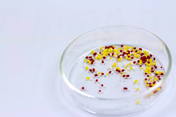 Top 8 Emulsifiers Suppliers in Netherlands in Quarter 3 of 2025