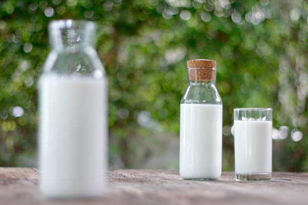 Top 5 Other Milk Suppliers in Pakistan in Year 2025: Urgent Market Update and Strategic Insights