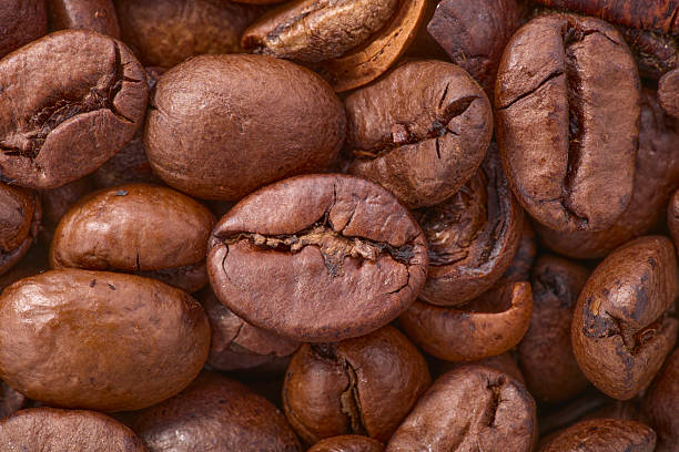 Top 5 Roasted Coffee Beans Suppliers in United Arab Emirates in Quarter 4 of 2025