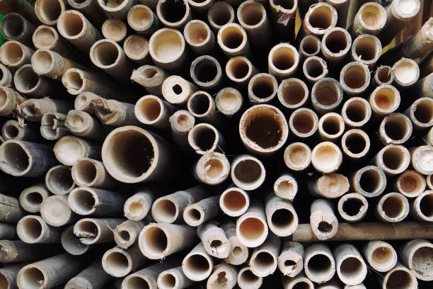 Top 10 Bamboo Products Suppliers in Indonesia in Year 2025