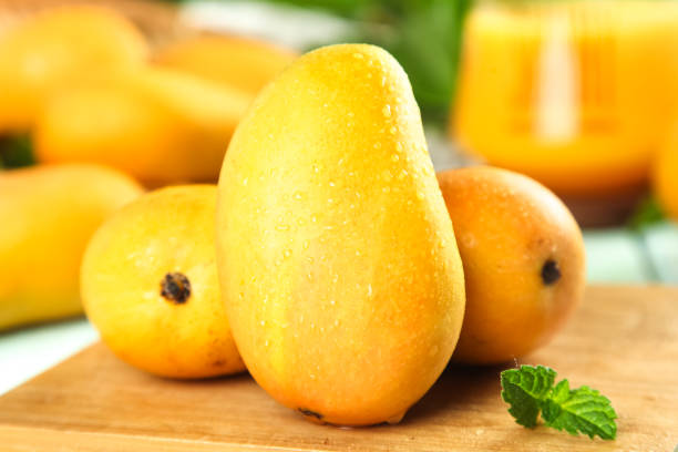 Top 10 Mango Suppliers in South Africa in Quarter 3 of 2025: Urgent Updates for Buyers