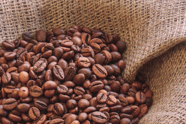 A Comprehensive Guide to Sourcing High-Quality Coffee Beans: Top 4 Coffee Beans Suppliers in South Korea in Quarter 3 of 2025