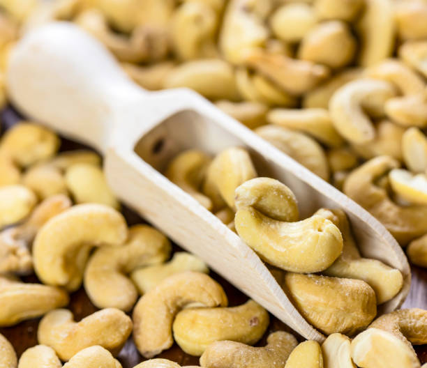 Top 5 Cashew Nuts Suppliers in Turkey in Year 2025