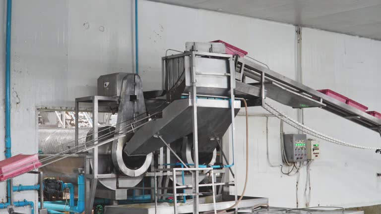 Top 4 Agri Food Processing Machinery Equipment Food Processing Machinery Suppliers in Indonesia in July 2025