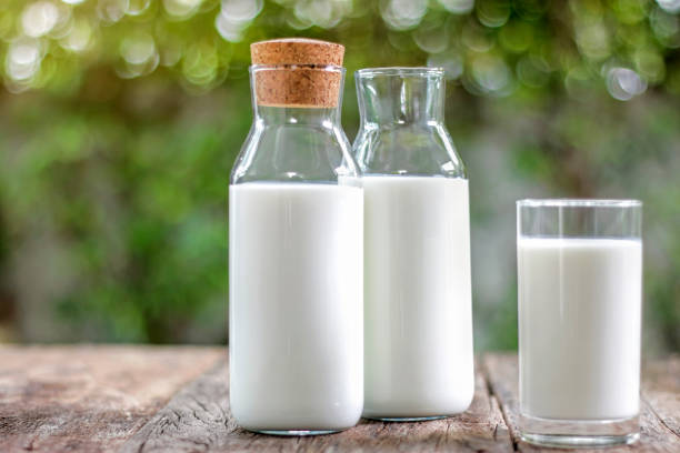 Top 9 Other Milk Suppliers in Indonesia in Year 2025