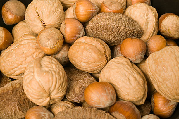 A Comprehensive Guide to Sourcing High-Quality Nut: Top 9 Nut Suppliers in France in Quarter 3 of 2025