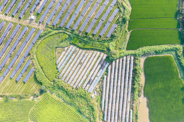 A Comprehensive Guide to Sourcing High-Quality Solar Cells: Top 6 Solar Cells Suppliers in Germany in Quarter 3 of 2025