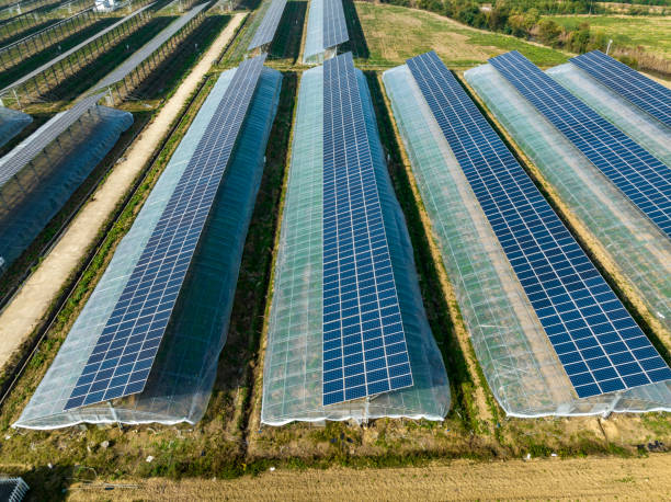 Top 8 Solar Energy System Suppliers in South Africa in October 2025