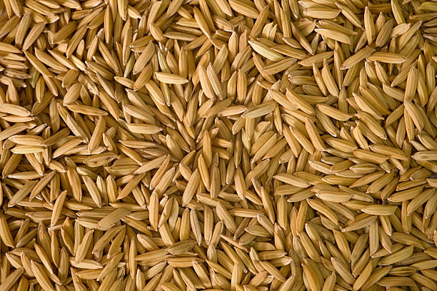 A Comprehensive Guide to Sourcing High-Quality Rice: Top 6 Rice Suppliers in South Korea in Year 2025