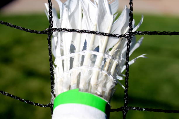 Your Expert Guide to Procuring Top-Tier Badminton Net: Top 6 Badminton Net Suppliers in China in Year 2025