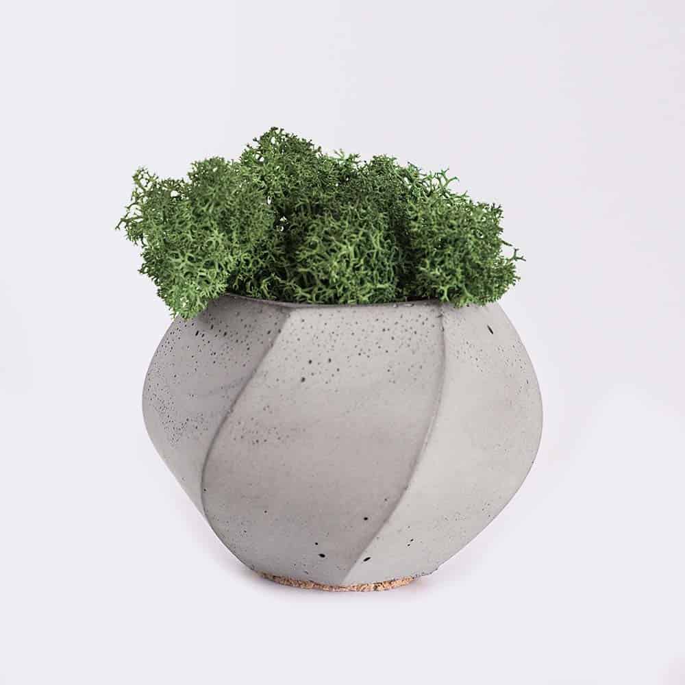 plant4-free-img Landing Page