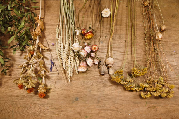 Top 5 Dried Flowers Suppliers in Spain in September 2025