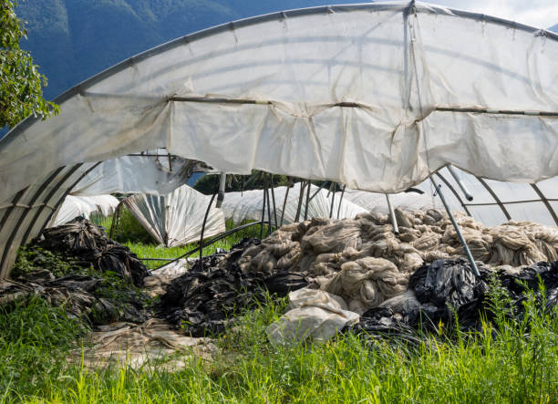 Your Expert Guide to Procuring Top-Tier Tent: Top 4 Tent Suppliers in Thailand in September 2025