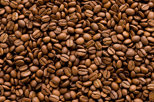 Top 7 Coffee Suppliers in Egypt in Quarter 1 of 2026: Urgent Updates & Market Insights