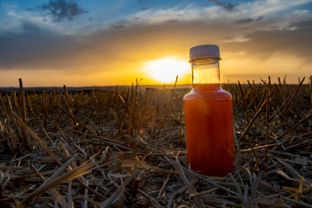 Top 10 Beverage Suppliers in Nigeria in Year 2026: Market Trends, Challenges & Strategic Insights