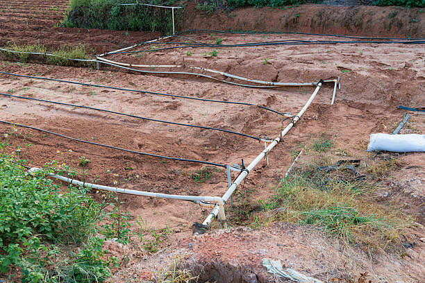 Top 4 Earthing Equipments Suppliers in China in January 2026 Top 4 Earthing Equipments Suppliers in China in January 2026