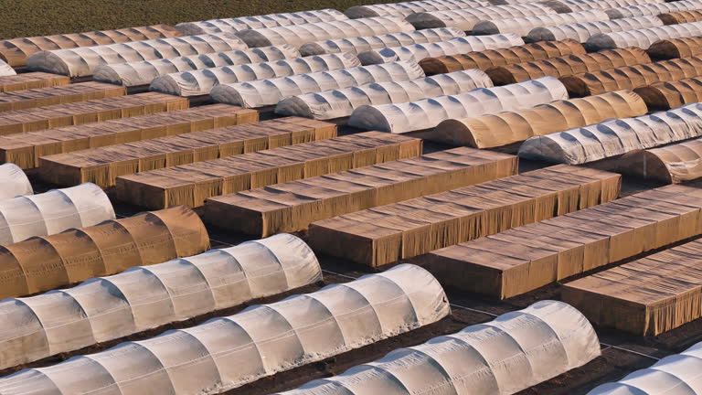 Top 10 Tent Suppliers in China in December 2025: Urgent Market Update You Need to Know