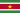 Suriname – country flag, main market, main markets insight