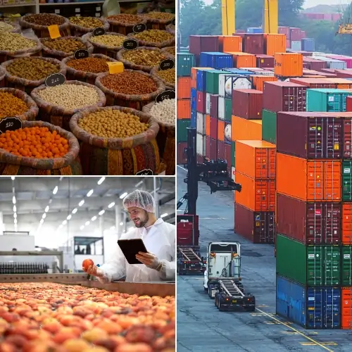 Container terminal at an international export port, where Freshdi connects suppliers to global buyers